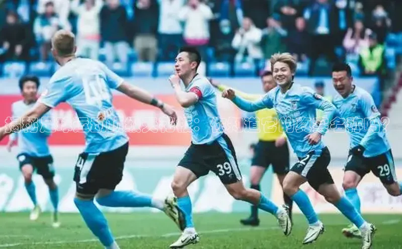 星欧娱乐注册入口在哪哇咔哇咔文化揭秘足球运动顶级天花板：你知道它的真实名称吗？