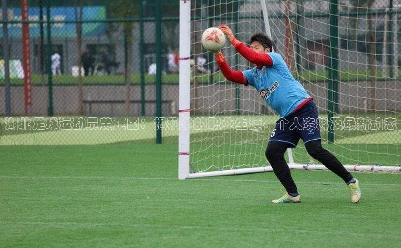 星欧平台携程湖北足球运动员黄正国：揭秘他的职业生涯、个人资料及最新动态