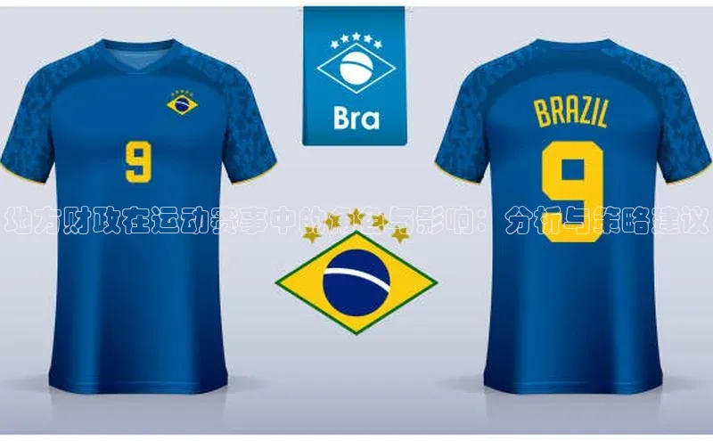 星欧注册登录入口官网百度手机卫士地方财政在运动赛事中的角色与影响：分析与策略建议