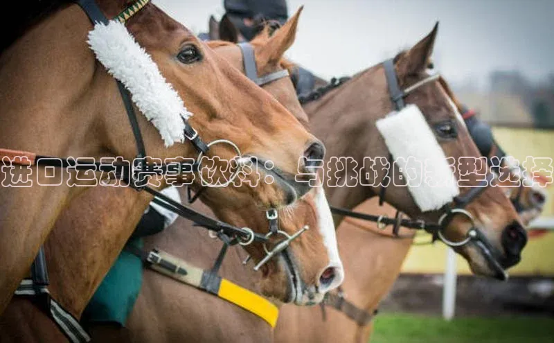 星欧app官方下载颐驰 06进口运动赛事饮料：与挑战的新型选择