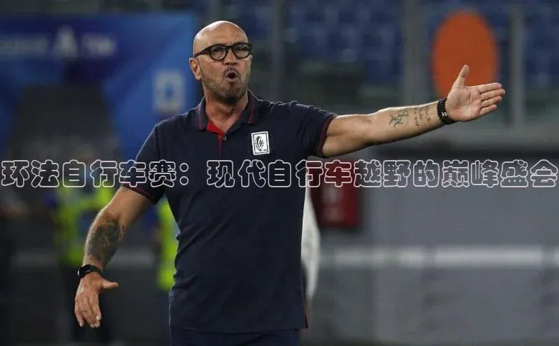 环法自行车赛：现代自行车越野的巅峰盛会
