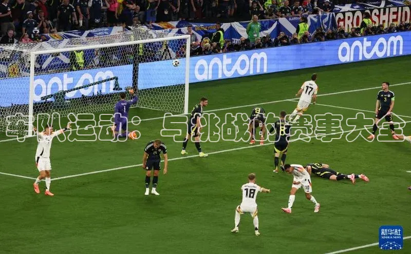 车队运动：与挑战的赛事大全