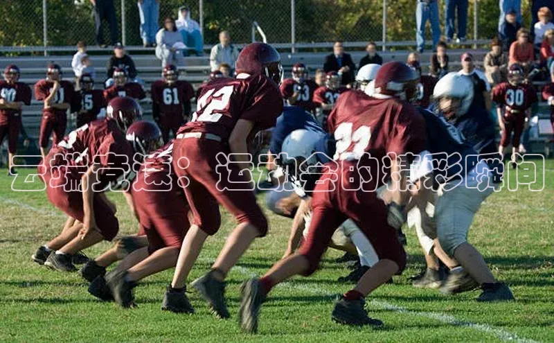 星欧账号登录入口