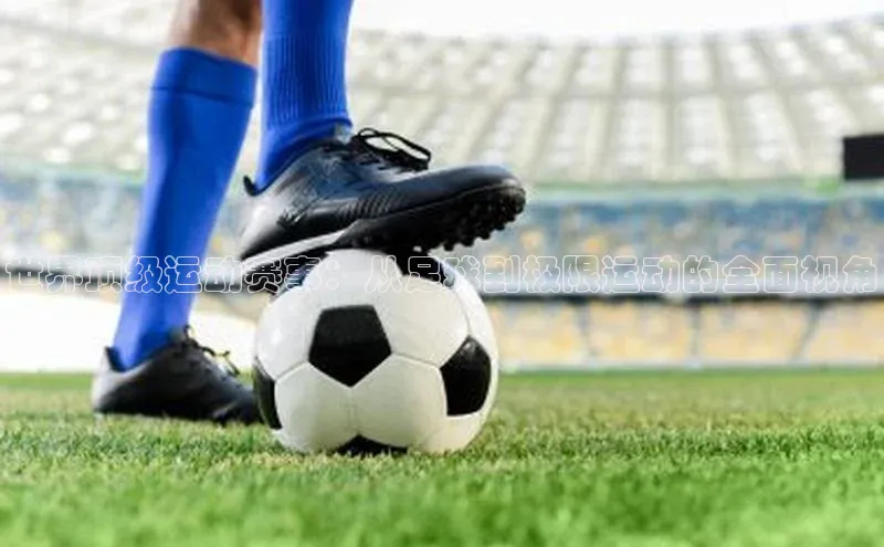 星欧平台登录入口