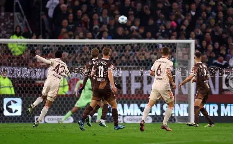 星欧注册官网入口