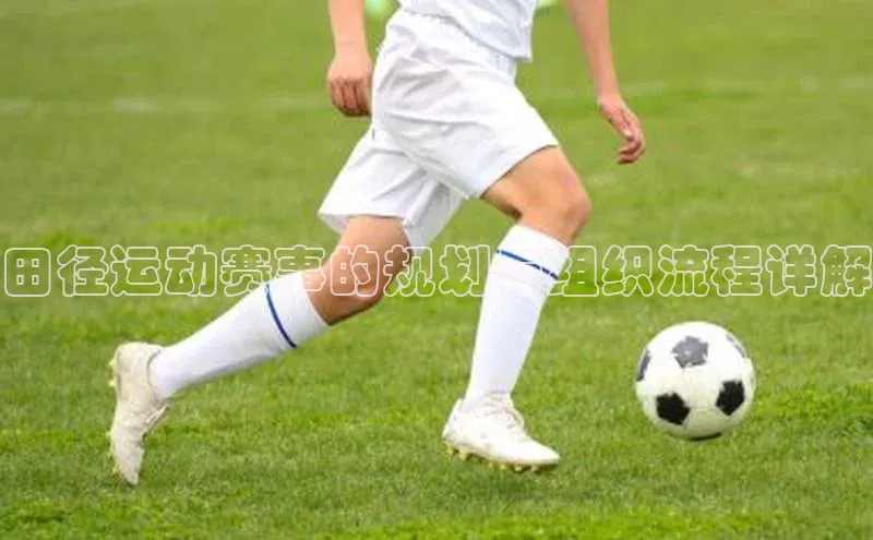 星欧app官方下载